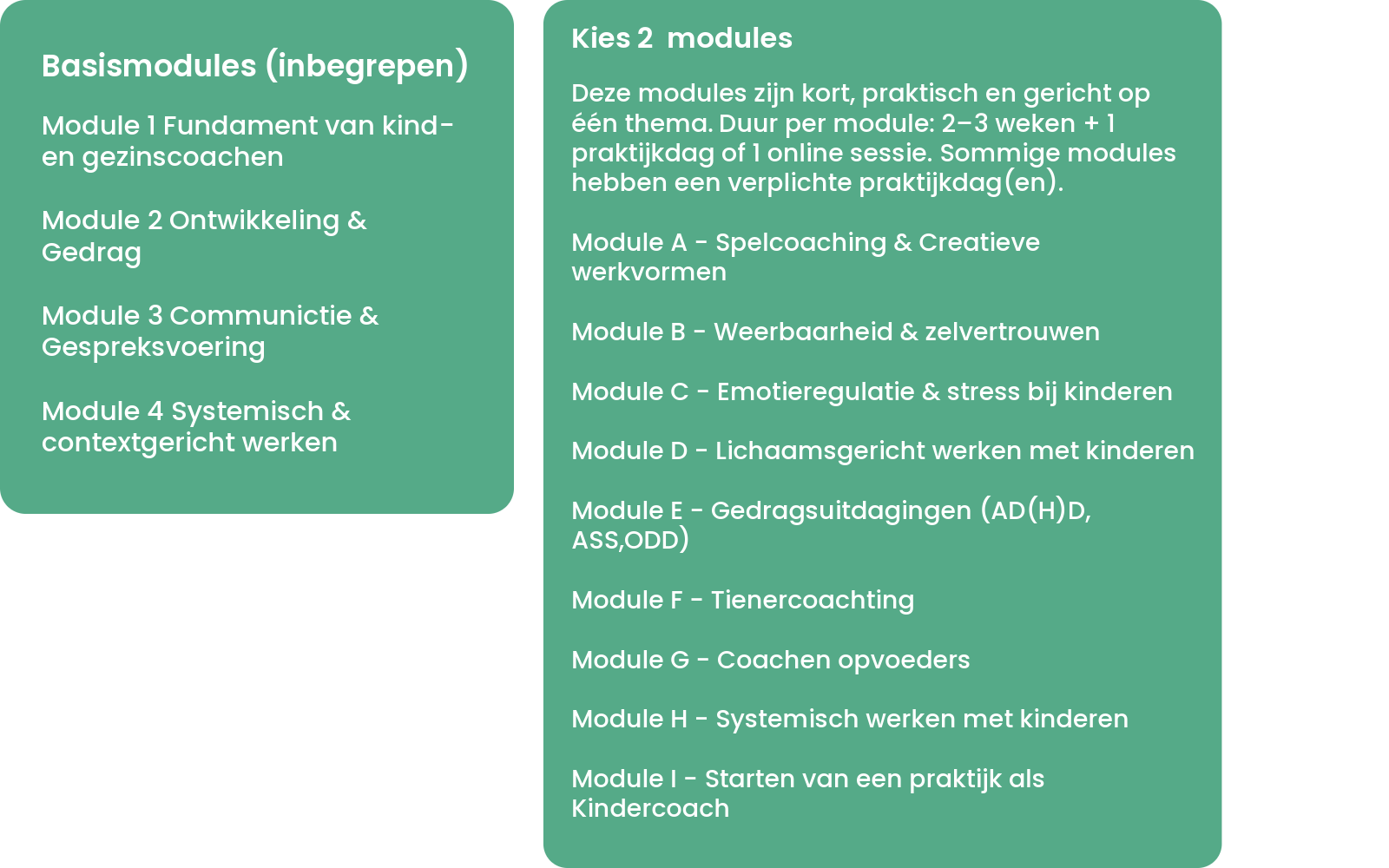 Module opbouw opleiding kindercoach